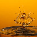 Splash! Water Droplet Photography